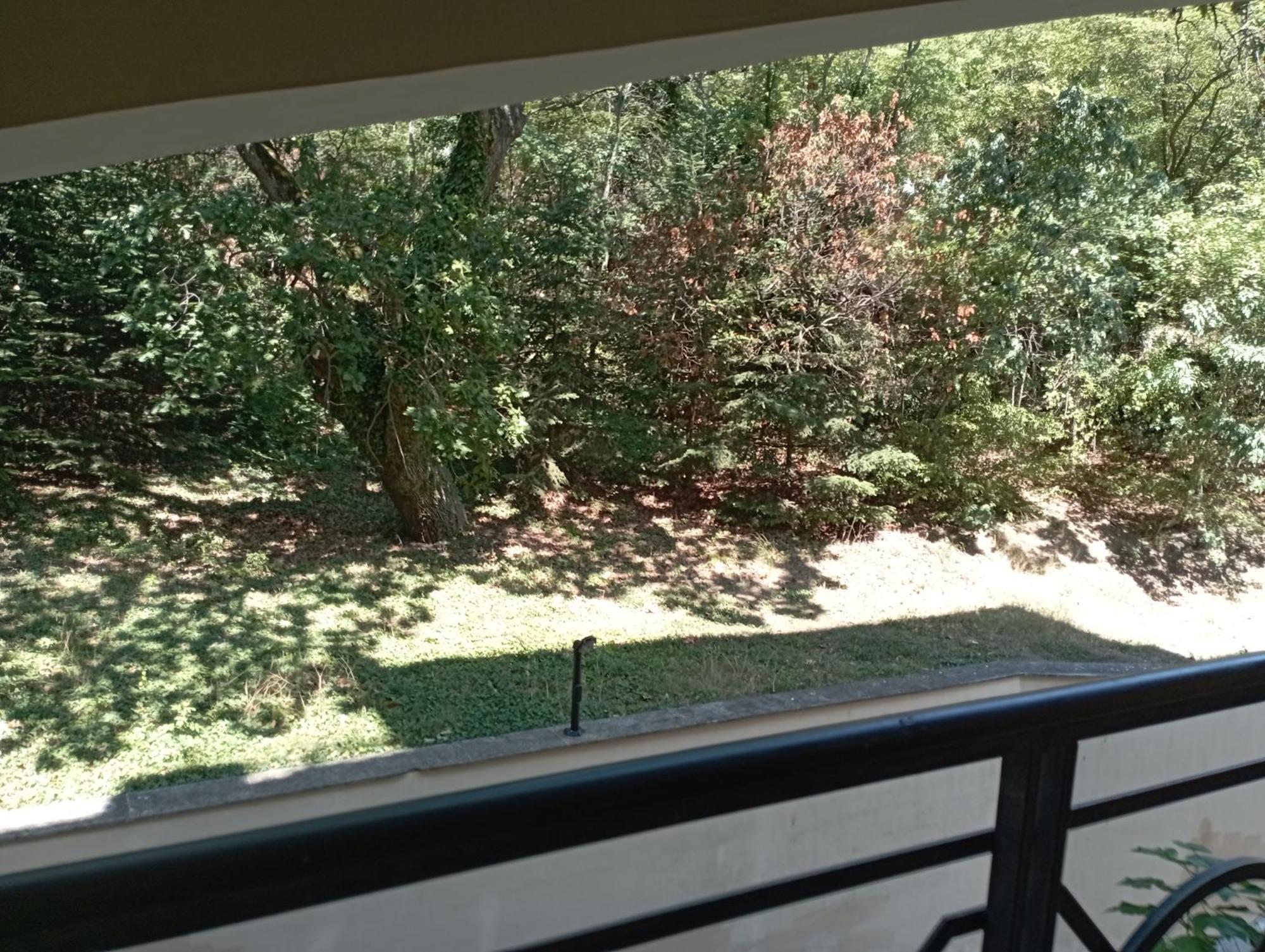 Golden Sands Rentals Apartments Dış mekan fotoğraf